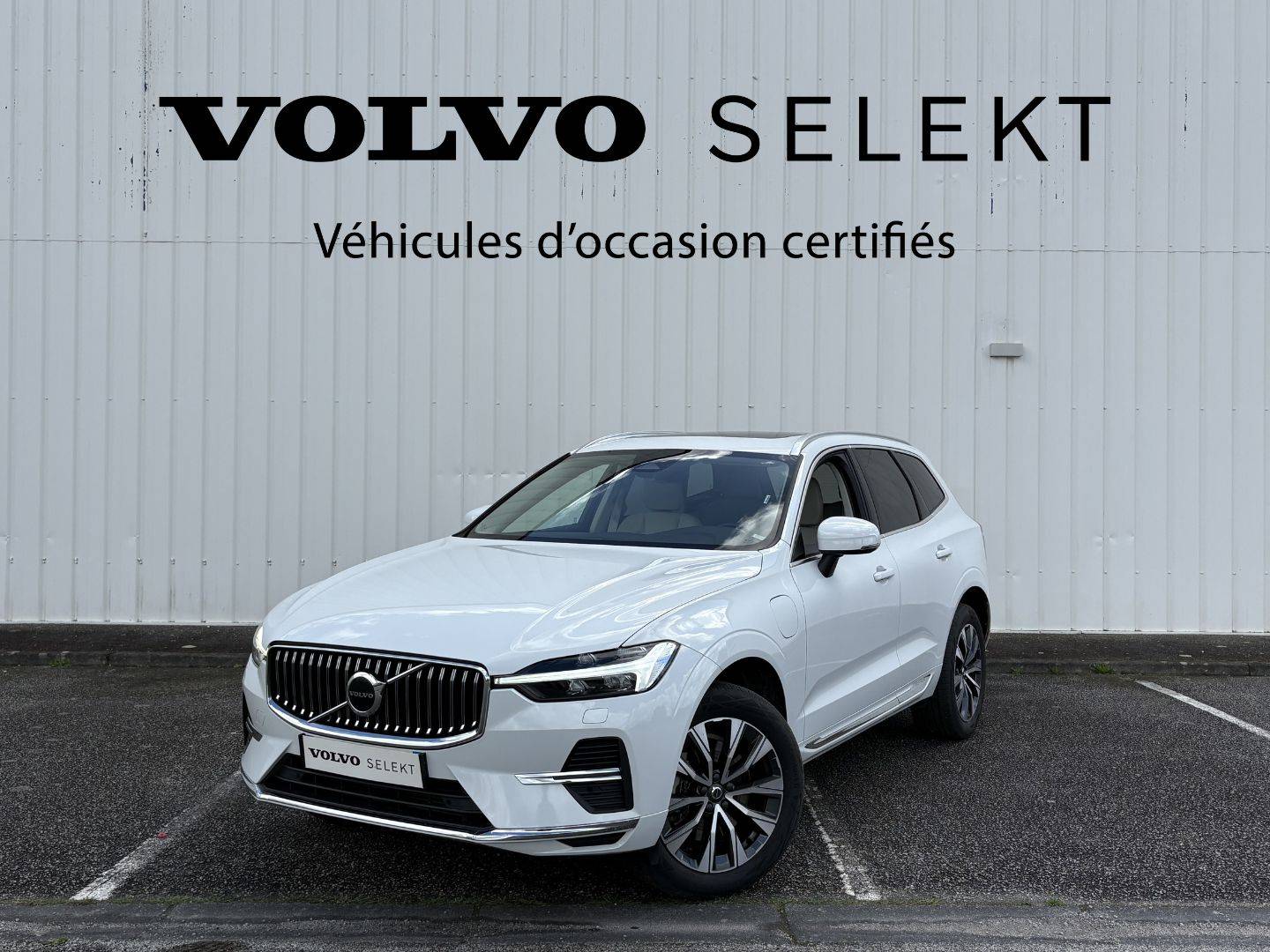 VOLVO XC60 XC60 T6 Recharge AWD 253 ch + 87 ch Geartronic 8