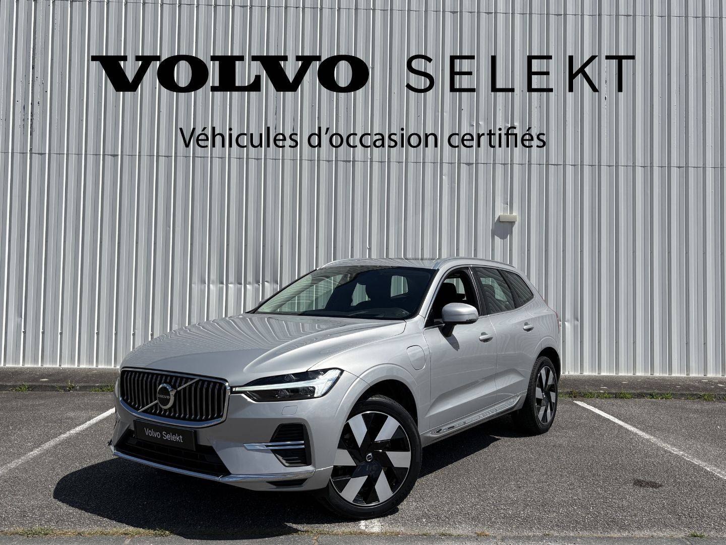 VOLVO XC60 XC60 T8 Recharge AWD 310 ch + 145 ch Geartronic 8