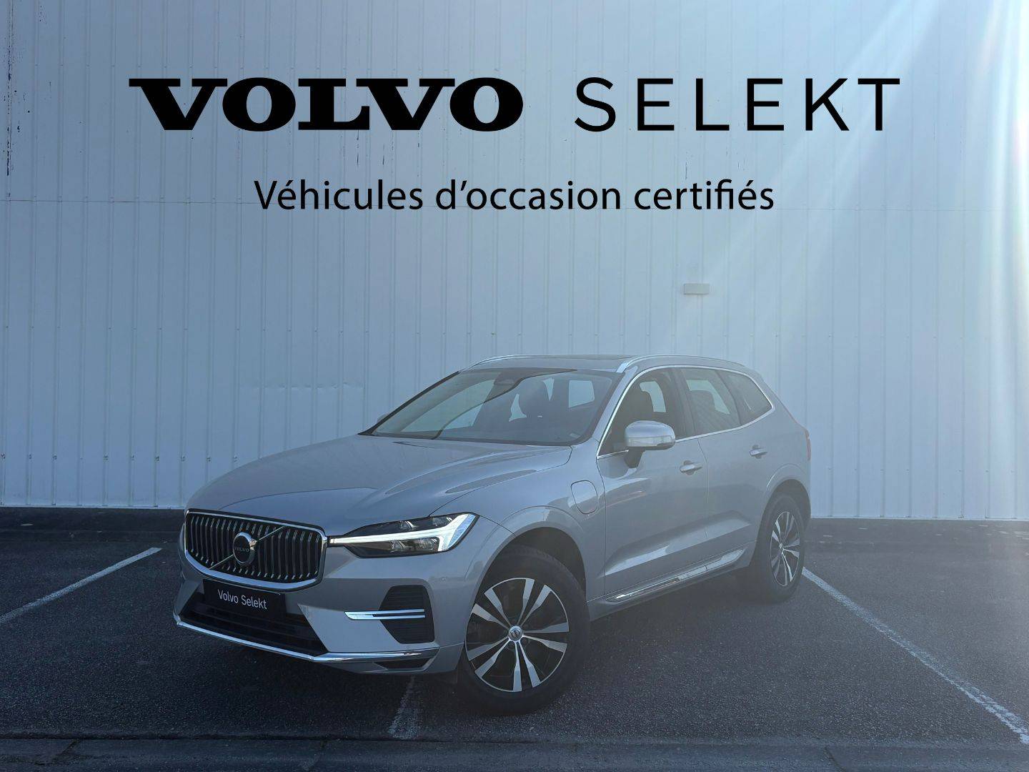 VOLVO XC60 XC60 T6 Recharge AWD 253 ch + 87 ch Geartronic 8