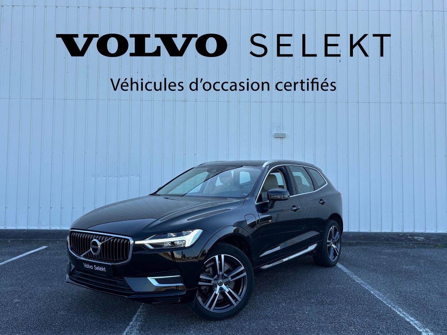 VOLVO XC60 XC60 T8 Twin Engine 303 ch + 87 ch Geartronic 8